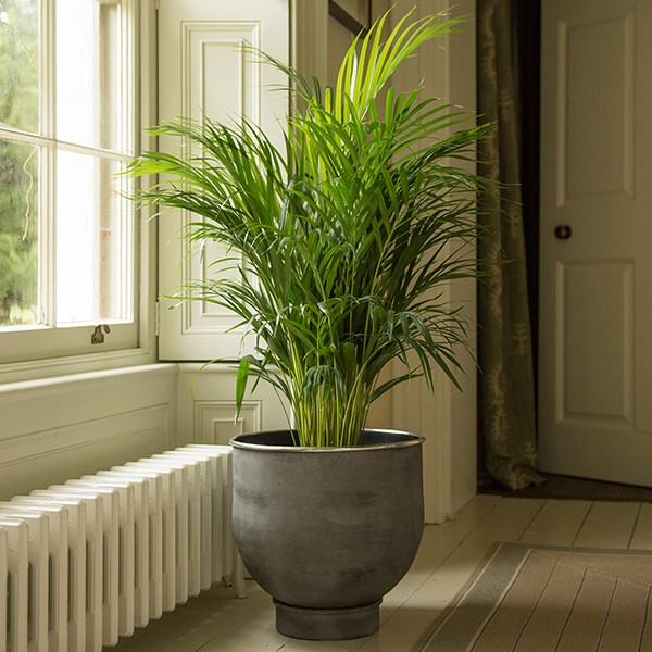 Aluminium Urb pot - aged zinc