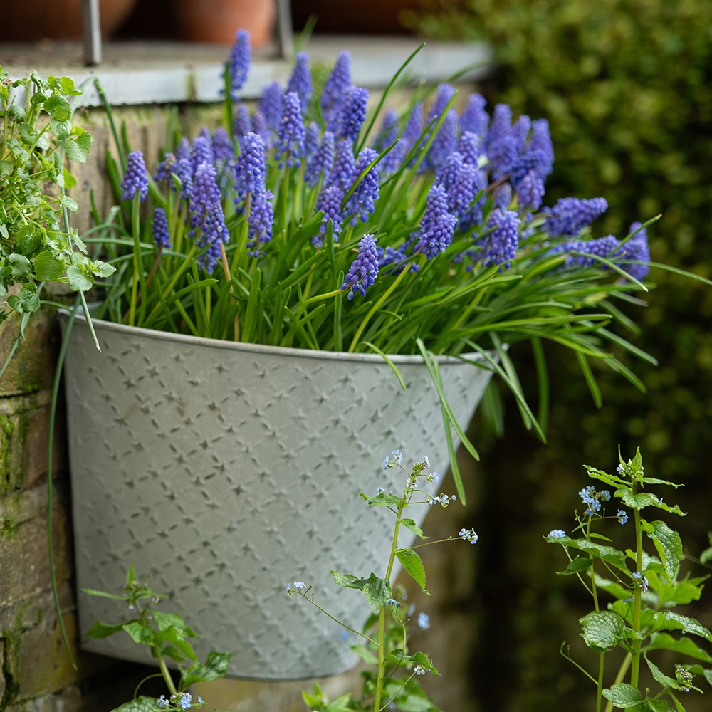 Embossed galvanised metal wall planter - aged zinc