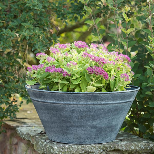 Metal cone planter - aged zinc