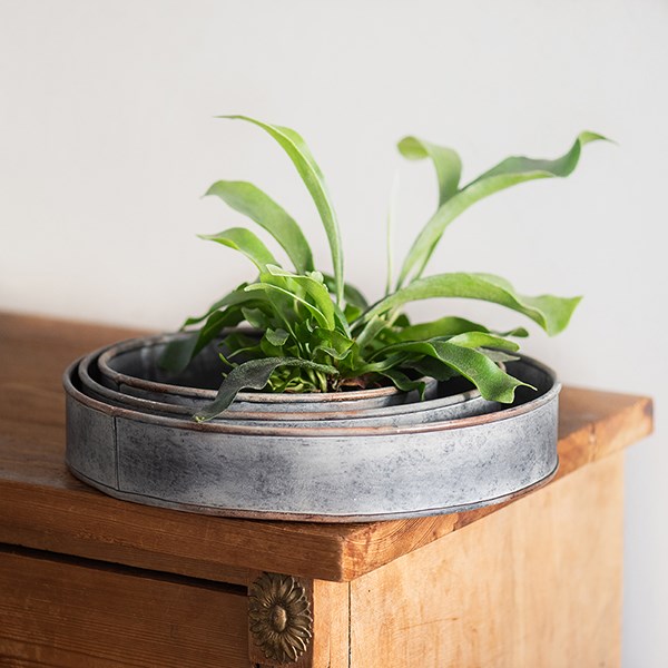 Pot trays aged zinc - set of 3