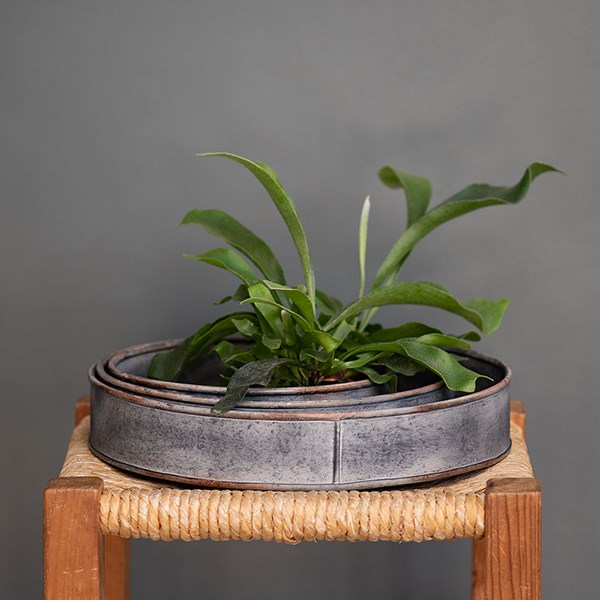 Pot trays aged zinc - set of 3