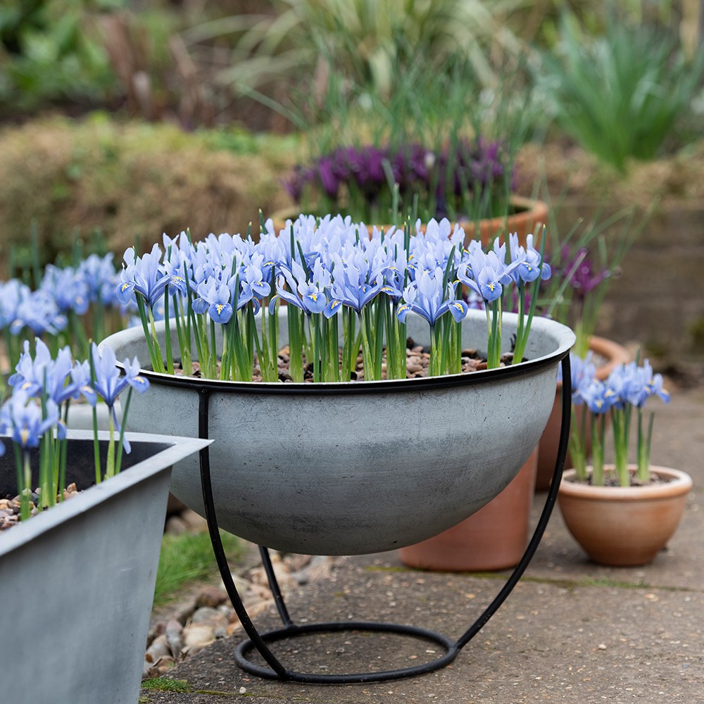 Plant bowl and stand - aged zinc 