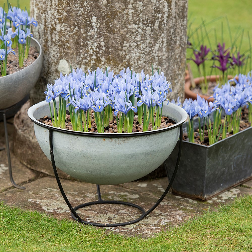 Plant bowl and stand - aged zinc 