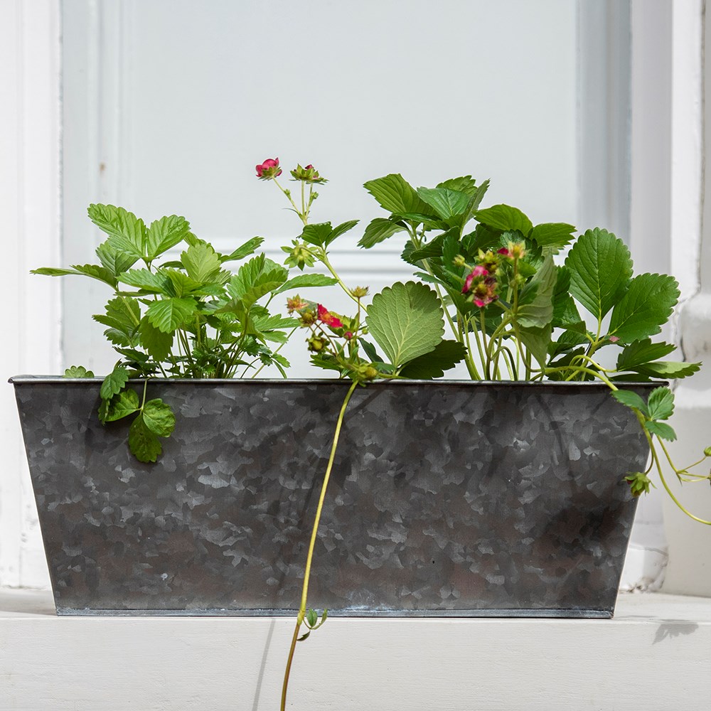 Dark galvanised metal window trough