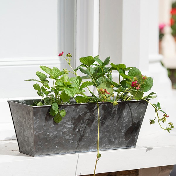 Dark galvanised metal window trough