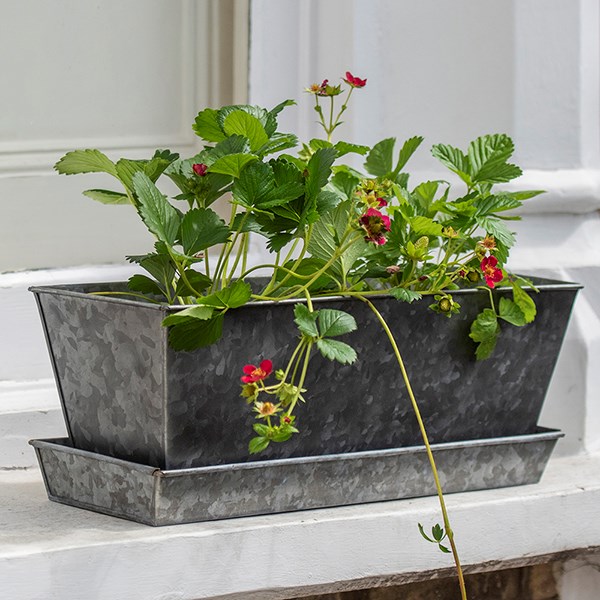 Dark galvanised metal window trough