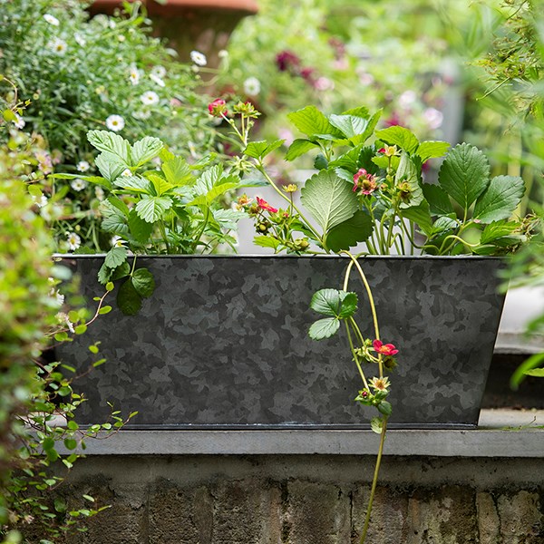 Dark galvanised metal window trough