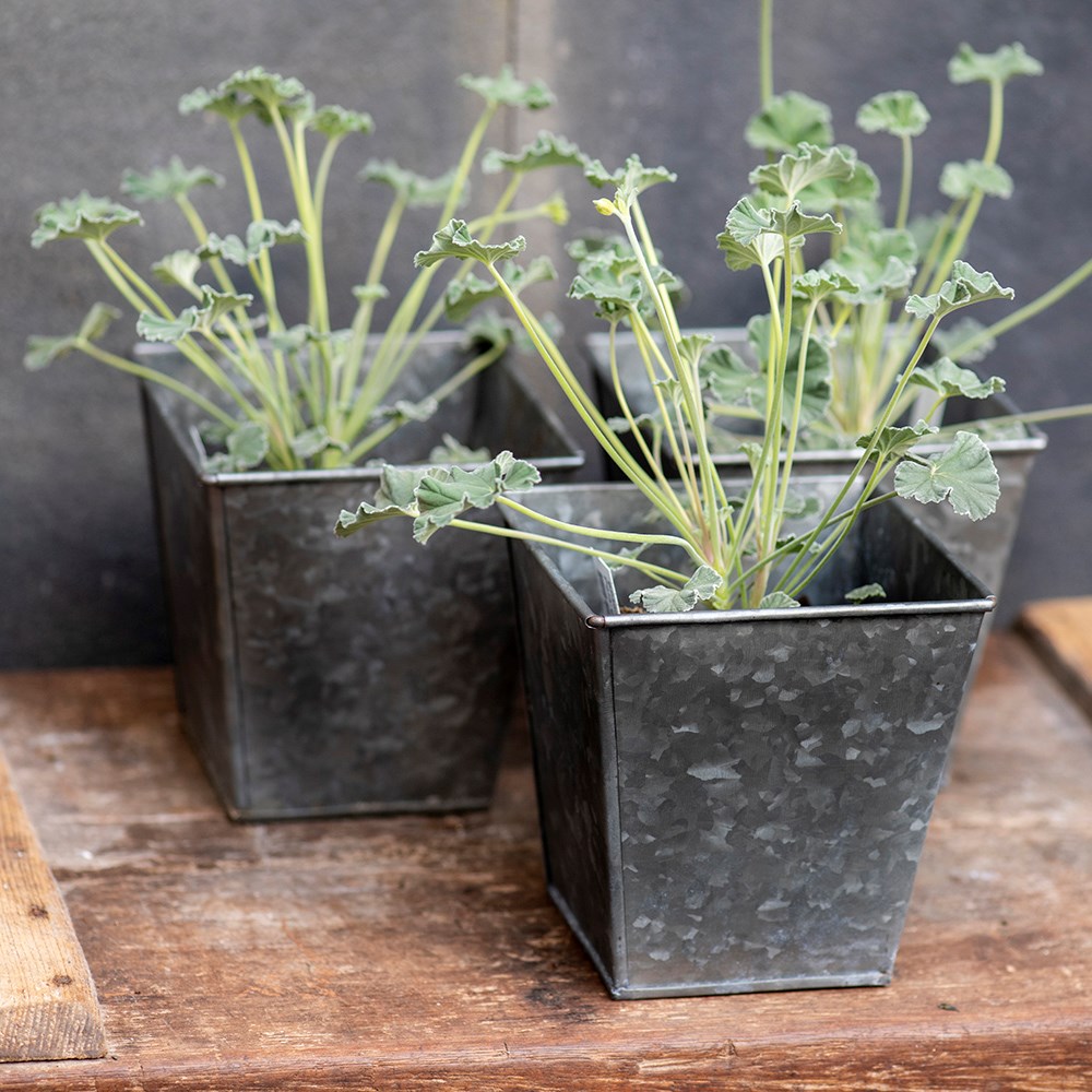 Dark galvanised metal square pot
