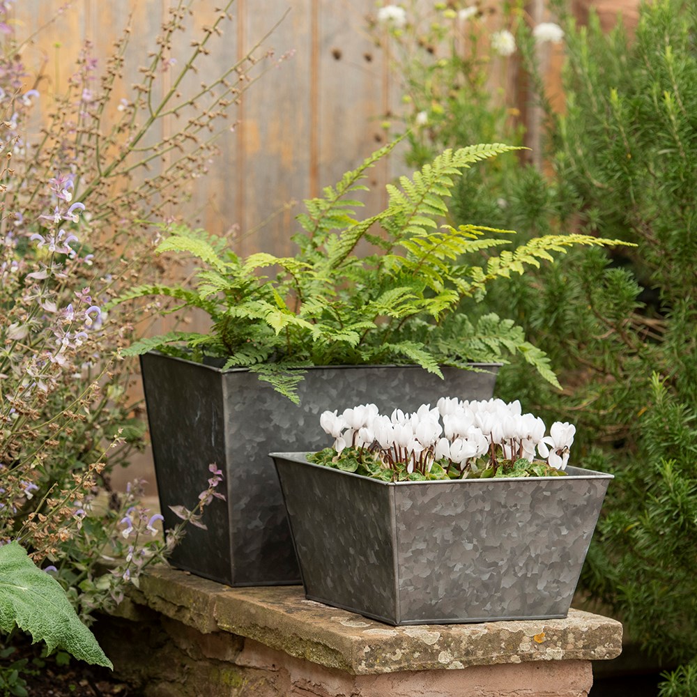 Dark galvanised metal square planter