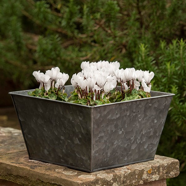 Dark galvanised metal square planter
