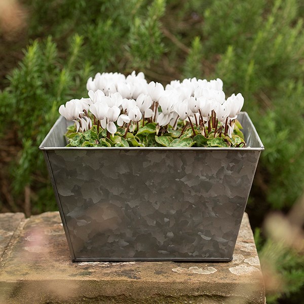 Dark galvanised metal square planter