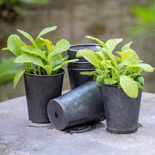 Dark galvanised metal pots - set of 6