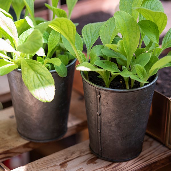 Dark galvanised metal pots - set of 6