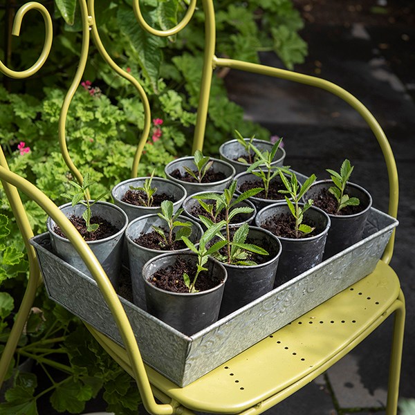 Dark galvanised metal pots - set of 6