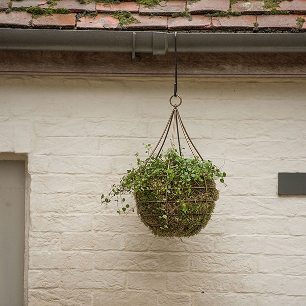 Hanging tear drop basket - wide