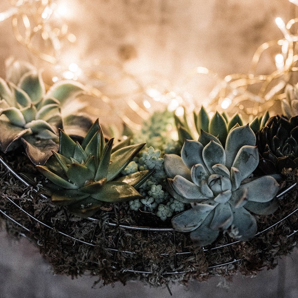 Hanging wreath basket