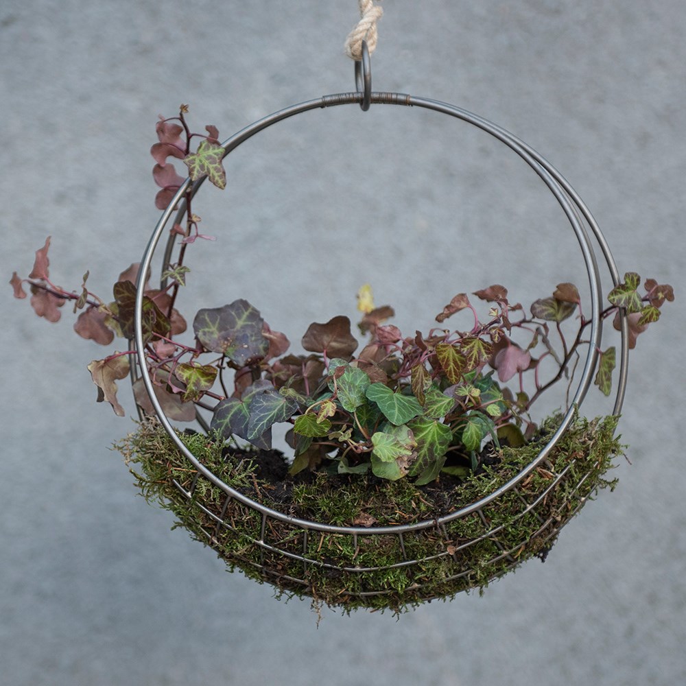 Hanging wreath basket