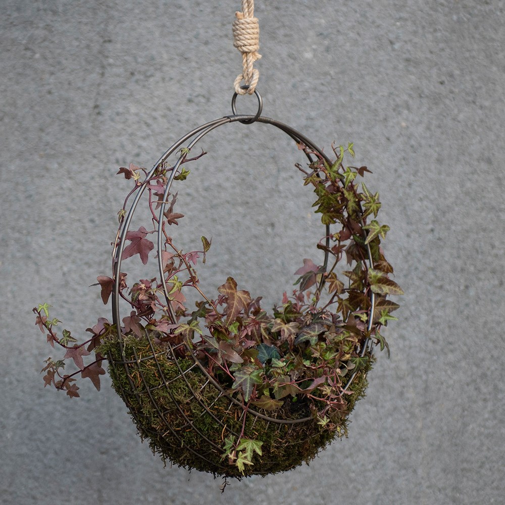 Hanging wreath basket