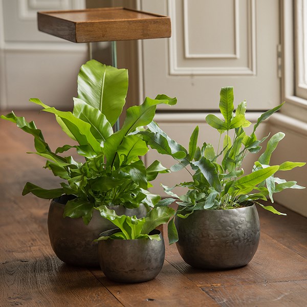 Zinc bowls - set of 3