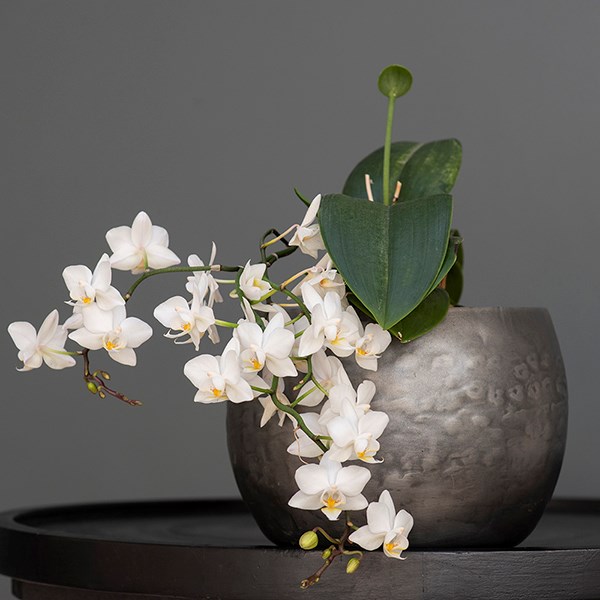 Zinc bowls - set of 3