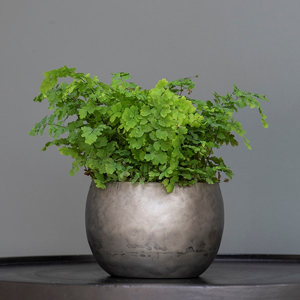 Zinc bowls - set of 3