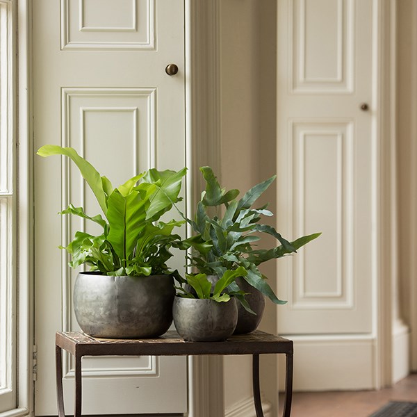 Zinc bowls - set of 3