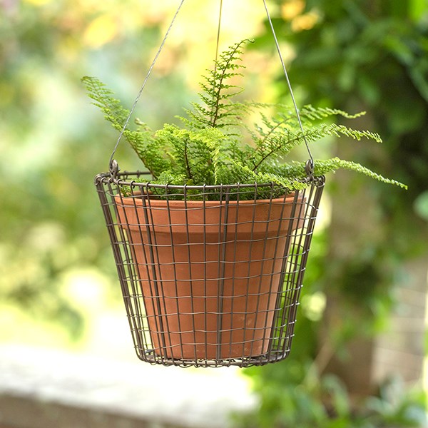 Hanging pot basket