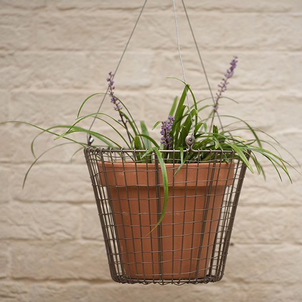 Hanging pot basket