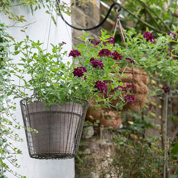 Hanging pot basket
