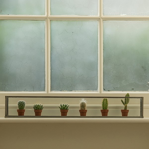 Windowsill terrarium
