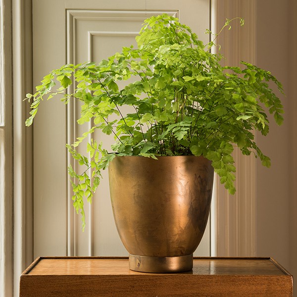 Tilting pot - brass