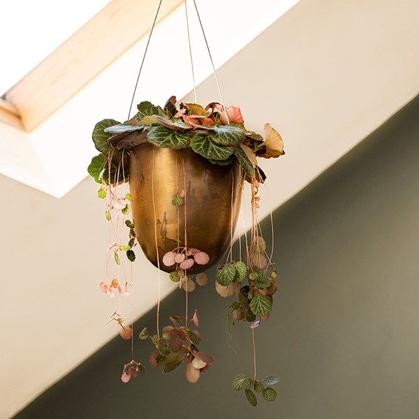 Brass hanging pot