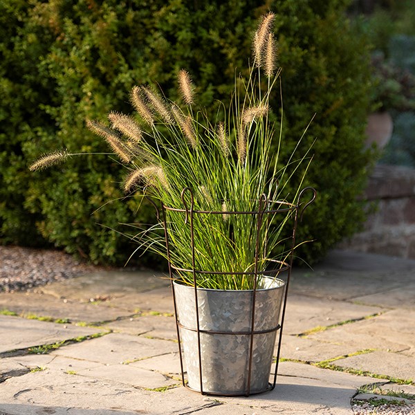 Galvanised metal perennial/bulb planter with support