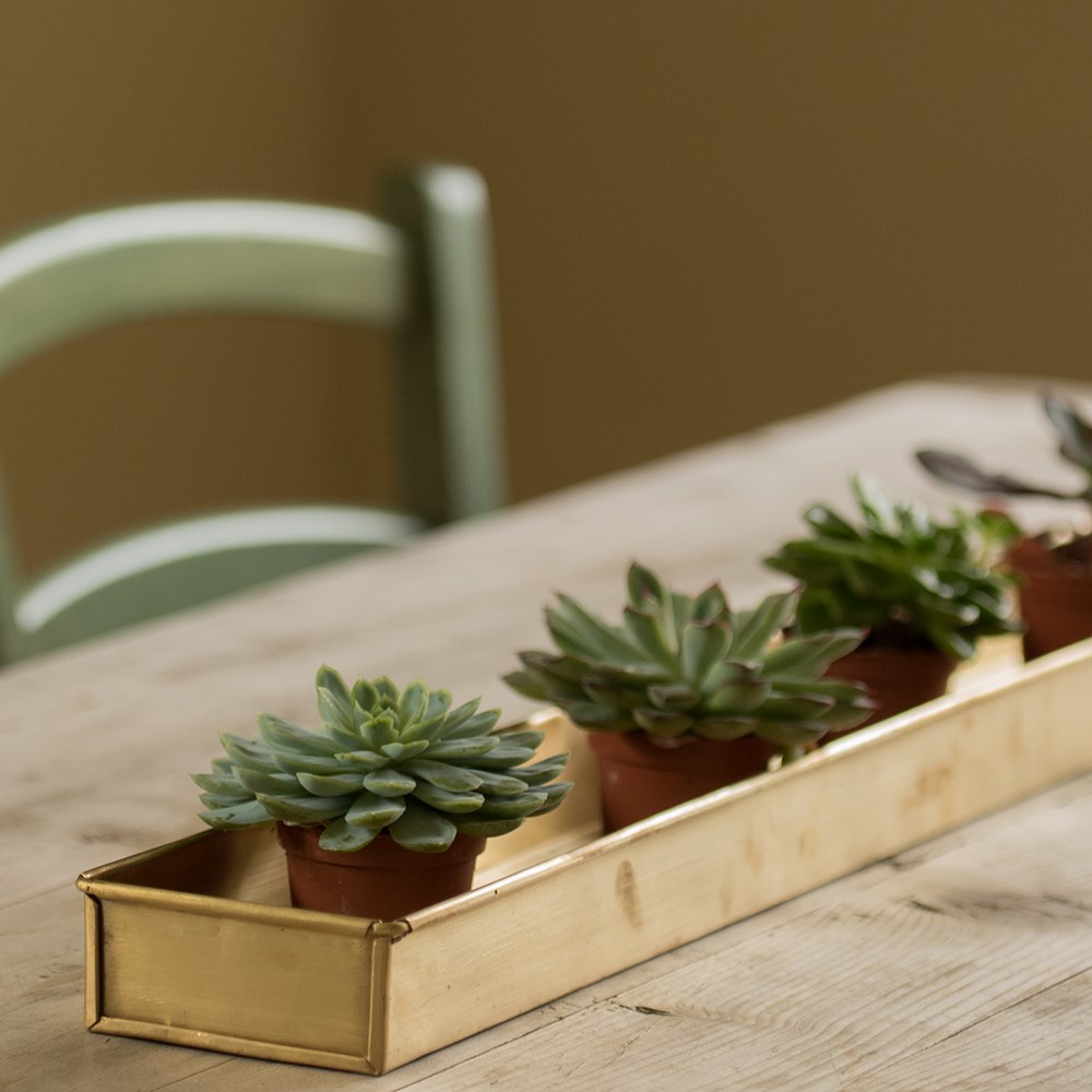 Brushed brass tray