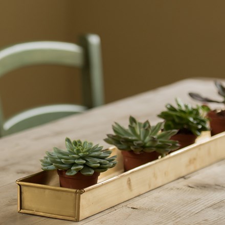 Brushed brass tray
