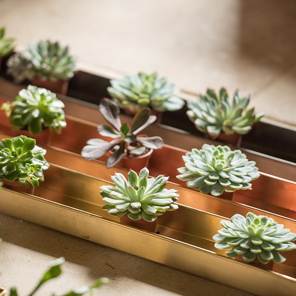 Brushed brass tray