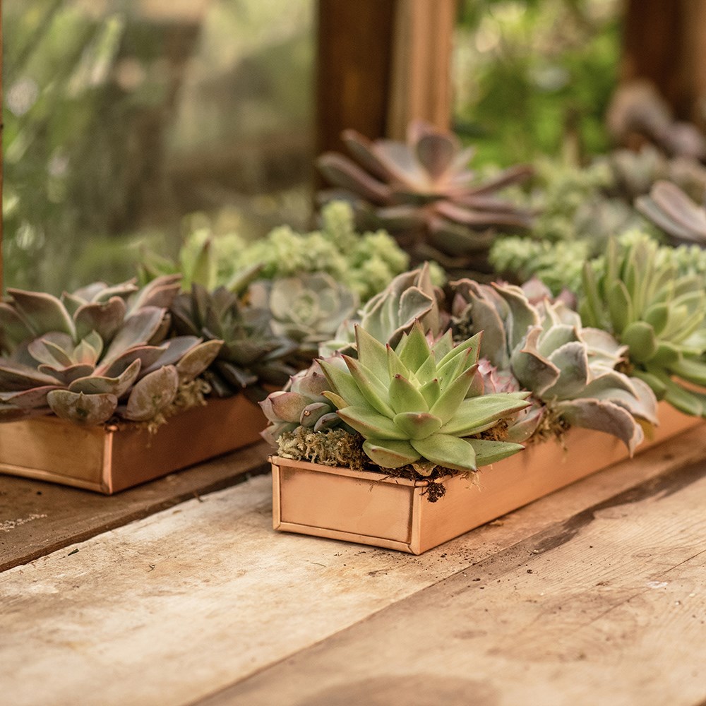 Brushed copper tray
