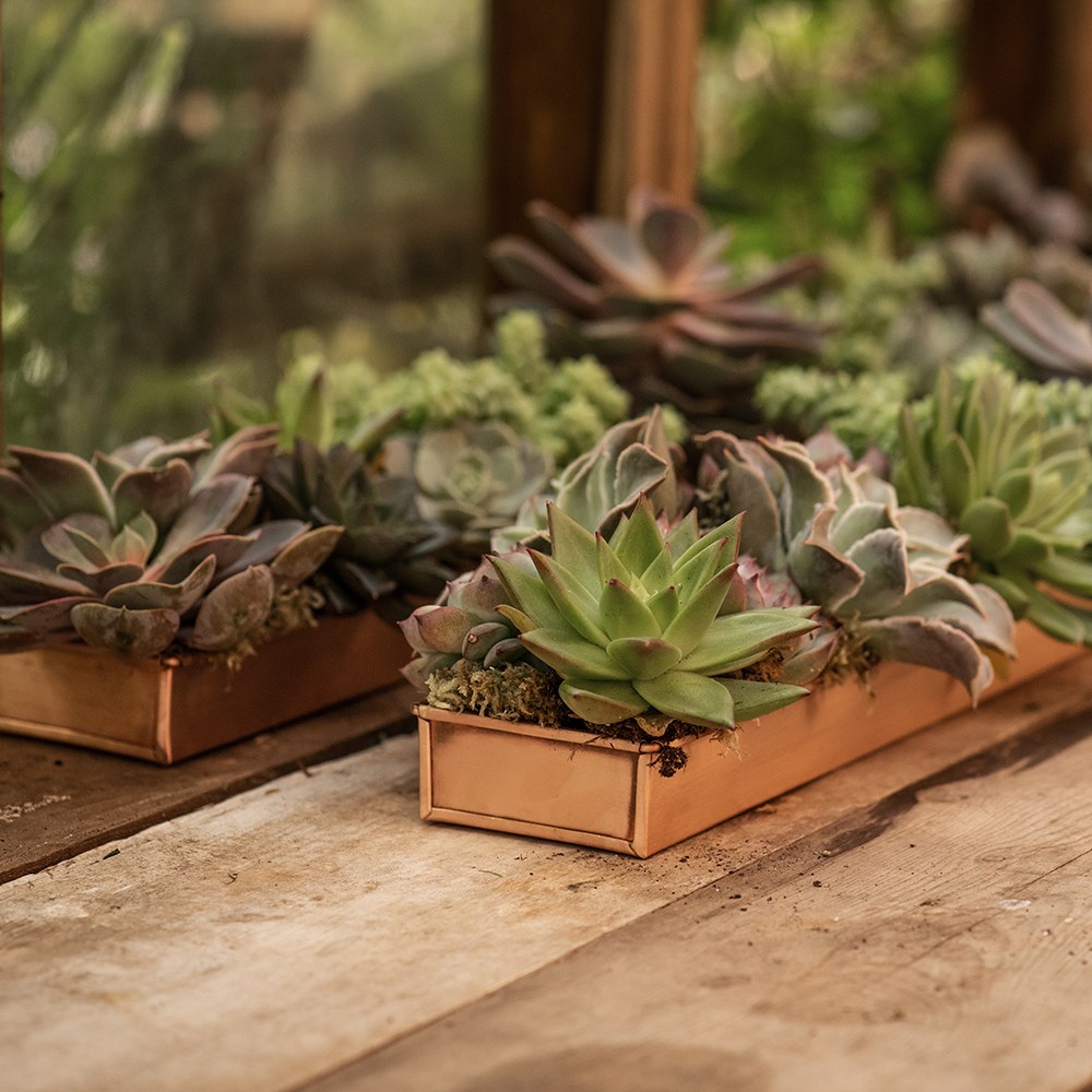 Brushed copper tray