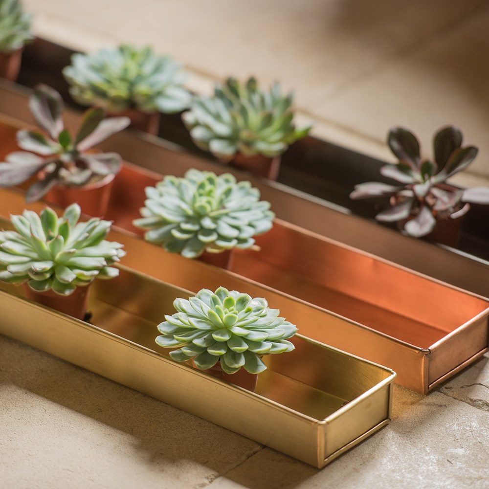 Brushed copper tray