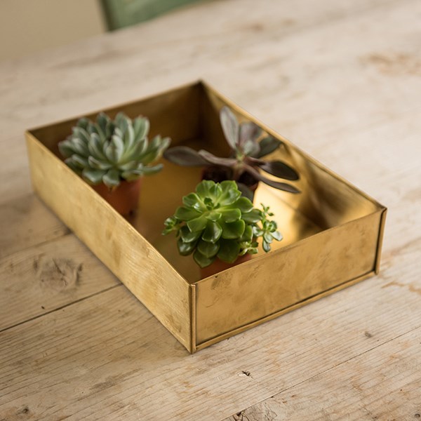Brushed brass seed tray