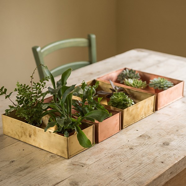 Brushed brass windowsill seed tray