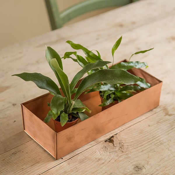 Brushed copper windowsill seed tray