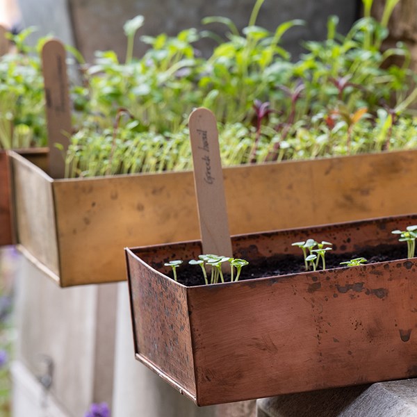 Brushed copper windowsill seed tray