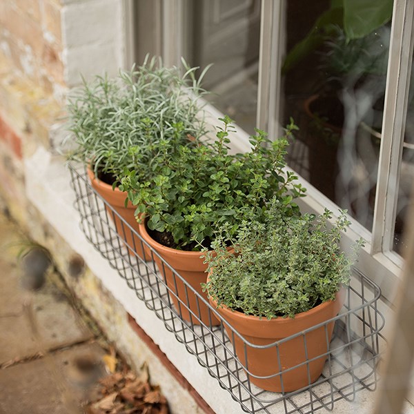 Pot window basket