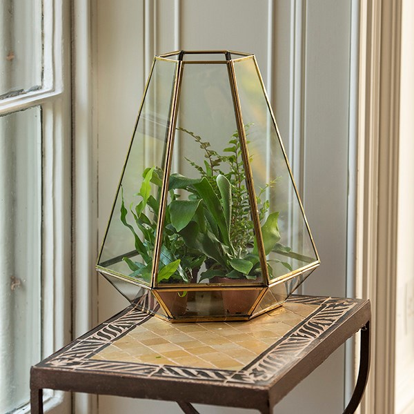 Terrarium with brass base tray