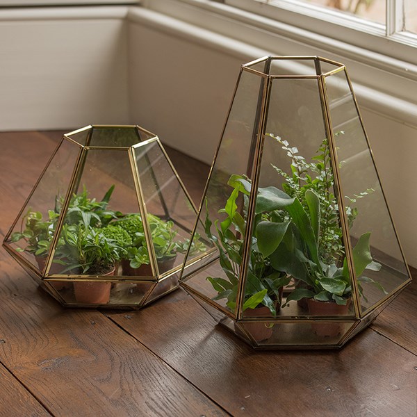 Terrarium with brass base tray
