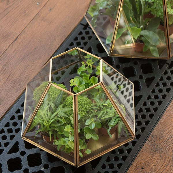 Terrarium with brass base tray