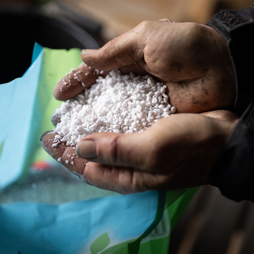 Gro sure perlite