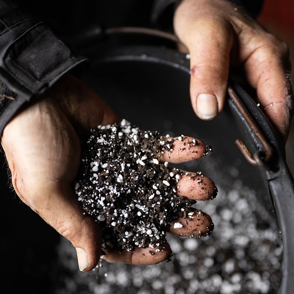 Gro sure perlite