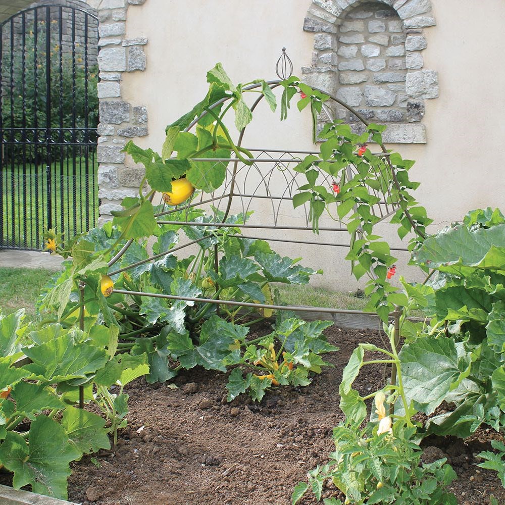 Square ornamental plant frame